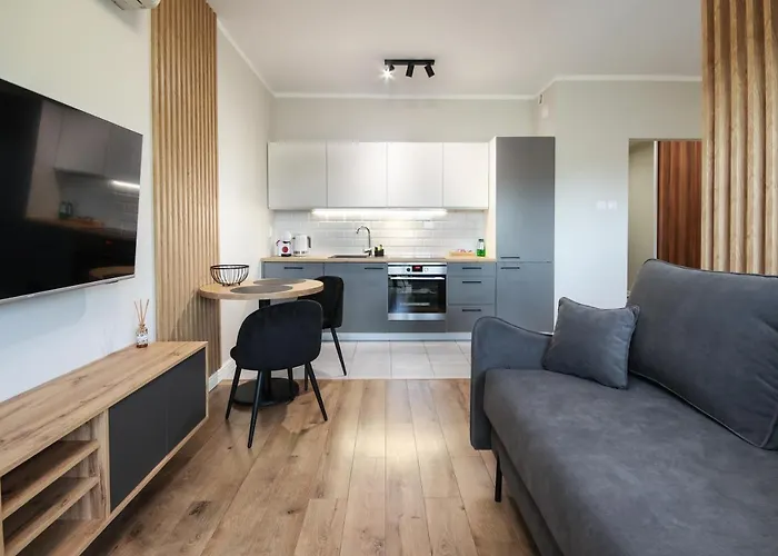 Apartman Warta Park - Basen Pool - Sauna - Ac Klimatyzacja - Cost Free Parking - Pelikan - 24h Check In Poznań